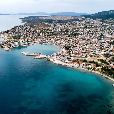 Barbun * Mordogan